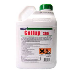 gallup-360.jpg